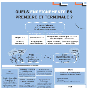 info document